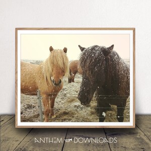 Horses Art Print - Horse Poster - Animal Lover Gift - Equestrian Wall Art - Farmhouse Decor - Instant Download