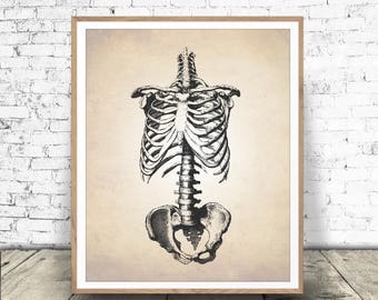 Skelett Rahmen Druck - Menschliche Anatomie Kunst - Anatomie Printables - Skelett-SystemZeichnung - Skelett-Diagramm - Sofortiger Download