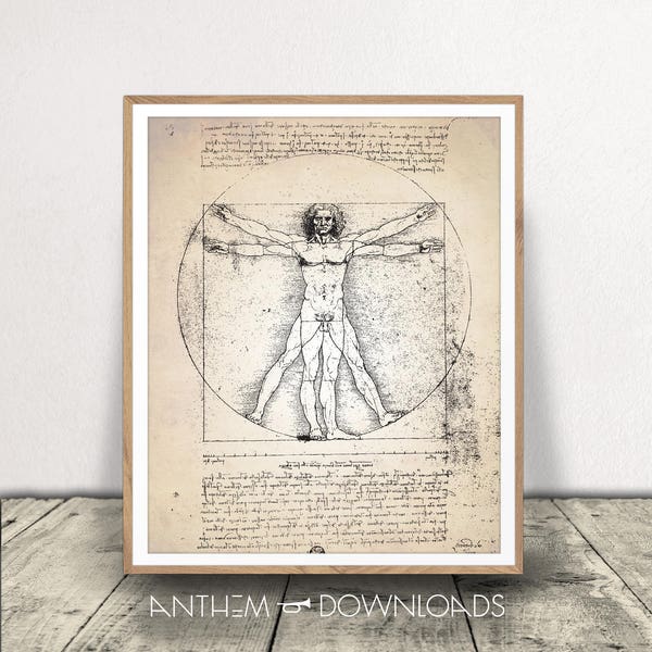 Vitruvian Man Art Print - Da Vinci Poster - Human Anatomy - Leonardo Da Vinci Drawing - Medical Illustration - Instant Download!