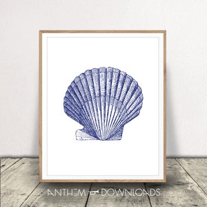 Seashell Art Print and Nautical Art for Beach House Wall Art Scallop Shell Poster Modern Coastal Home Decor Instant Printable Download