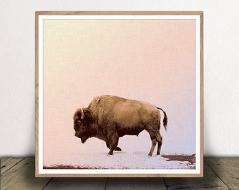 Buffalo Art Print - Grazing Buffalo Poster - Printable Bison Jpeg - Farmhouse Wall Art - Ranch Decor - Instant Download