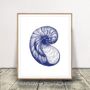 Seashell Art Print for Beach Home Decor Printable Nautical Art Coastal Wall Art Decor Navy Blue Shell Poster Summer Decor Instant Download