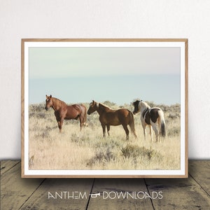Wild Horses Art Print - Horse Farm Poster - Stallion Photo - Equestrian Wall Art - Farmhouse Decor - Instant Download!