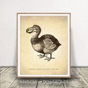 Dodo Bird Art Print - Dodo Poster - Decoración de historia natural - Classroom Wall Art - Descarga instantánea