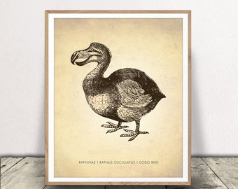 Dodo Bird Art Print - Dodo Poster - Natural History Decor - Classroom Wall Art - Instant Download
