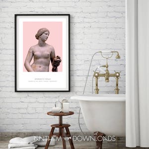 May include: A framed print of a pink background with a black and white statue of Aphrodite/Venus, the goddess of love, beauty, pleasure, and procreation. The text "APHRODITE/VENUS" is below the statue.