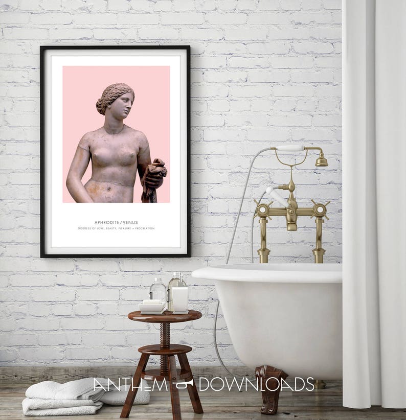 May include: A framed print of a pink background with a black and white statue of Aphrodite/Venus, the goddess of love, beauty, pleasure, and procreation. The text "APHRODITE/VENUS" is below the statue.