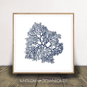 Navy Blau Koralle Druck - Digitaler Download Jpeg - Nautische Kunst - Ozean Koralle Poster - Strand Haus Stil - Print At Home!
