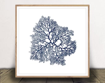 Navy Blue Coral Print - Digital Download Jpeg - Nautical Art - Ocean Coral Poster - Beach House Style - Print At Home!
