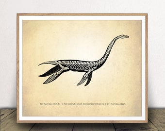 Plesiosaurus Art Print - Dinosaur Poster - Natural History Chart - Classroom Decor - Scientific Wall Art - Print at Home!