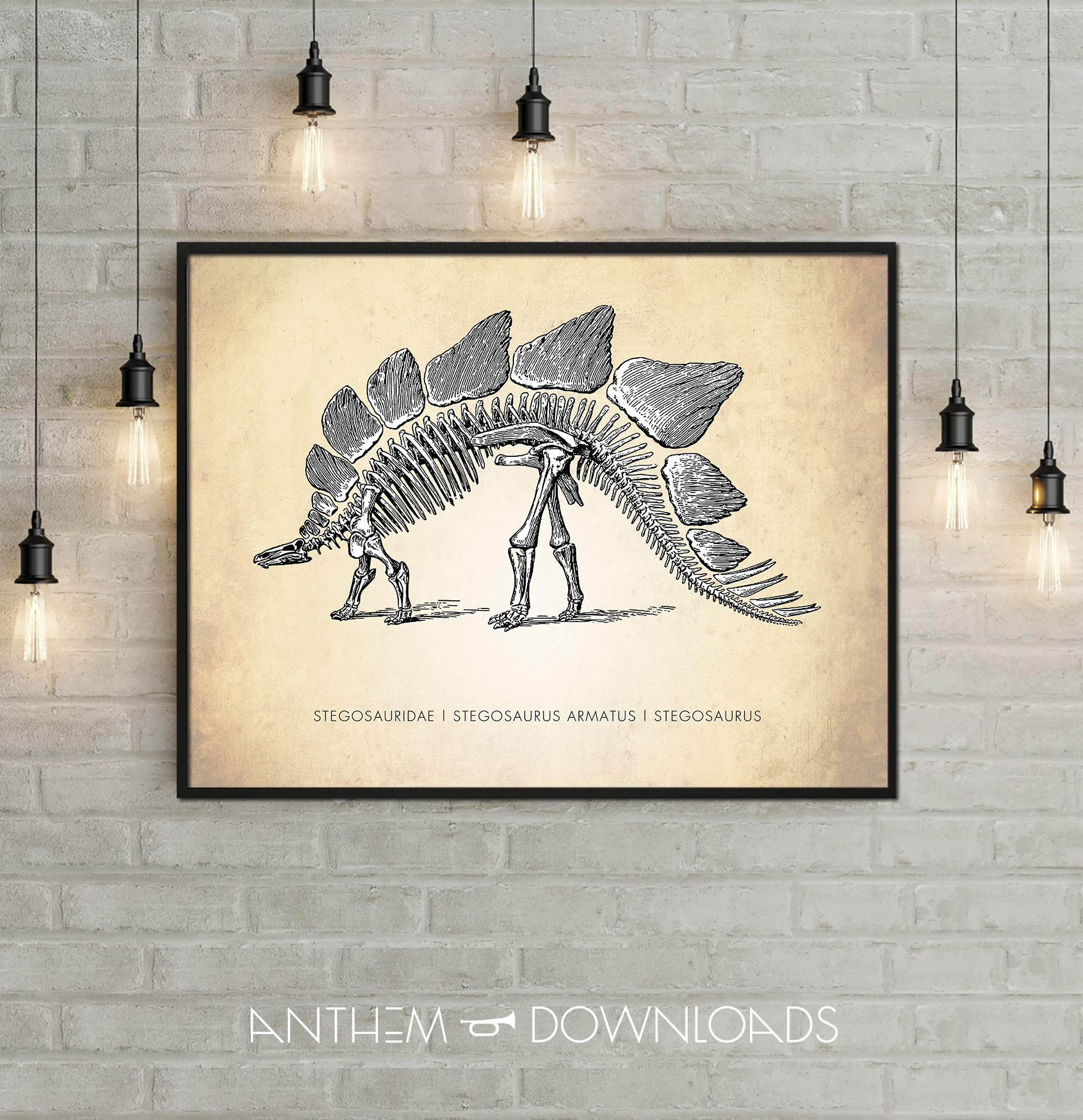 Stegosaurus Art Print Dinosaur Poster Natural History - Etsy