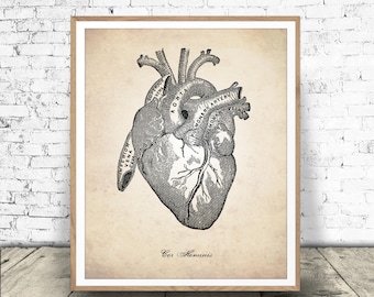 Human Anatomy Heart Print - Digital Download - Medical Drawing - Anatomy Illustration - Anatomical Heart Diagram - Print At Home!