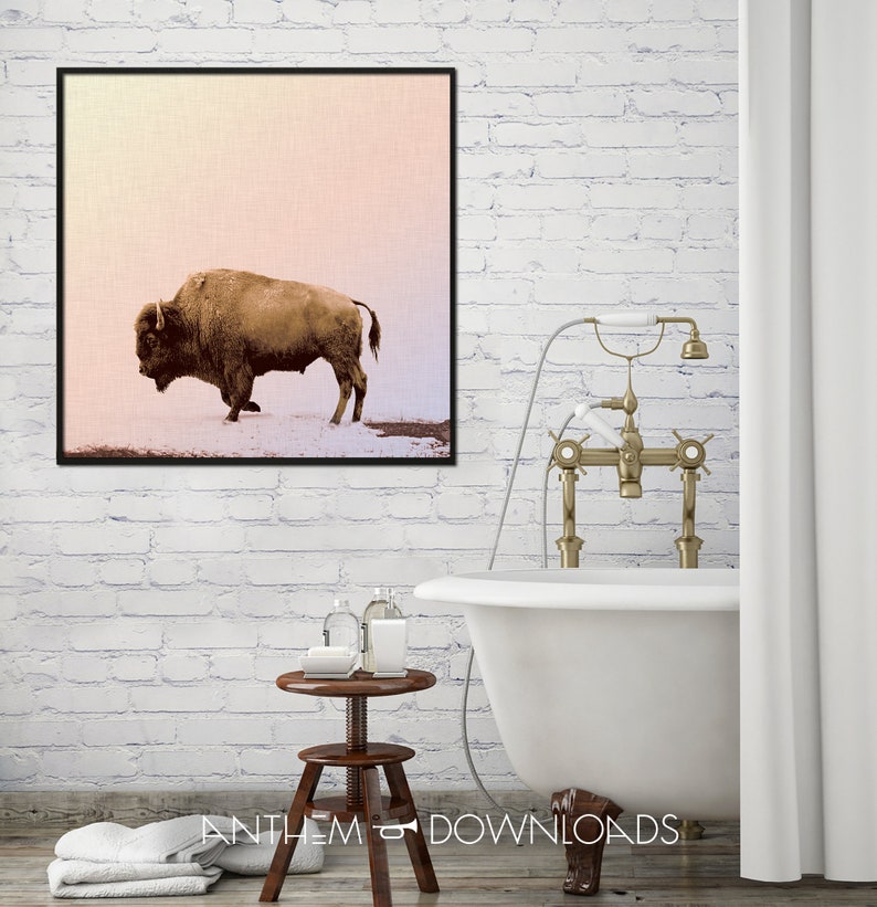 Buffalo Art Print of Grazing Buffalo Poster for Country Wall Art Printable Bison Farmhouse Wall Art and Ranch Decor - Instant Download