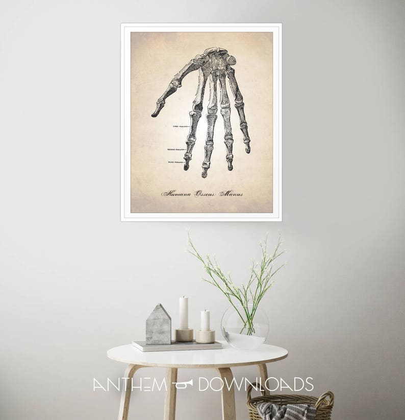Human Anatomy Hand Art Print Skeleton Hand Anatomy Poster - Etsy