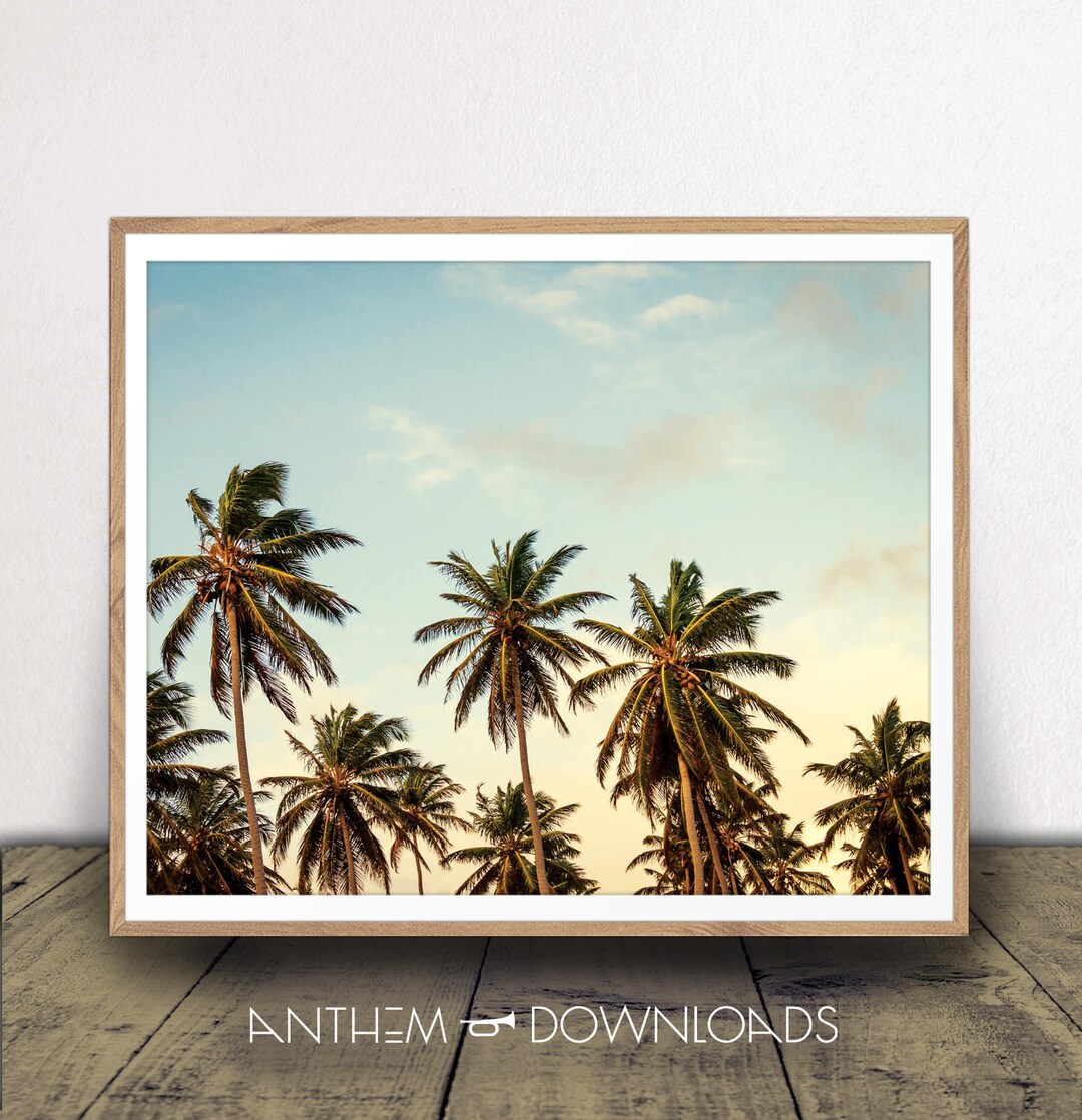 Palm Trees Art Print - Tropical Decor - Coastal and Beach House Wall ...