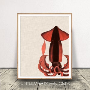 May include: A vintage illustration of a red squid with tentacles, set against a beige linen background. The squid is depicted in a detailed, realistic style, with its body and tentacles rendered in shades of red and black.