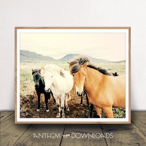 Horse Farm Art Print - Horse Poster - Animal Lover Gift - Equestrian Wall Art - Farmhouse Decor - Instant Download