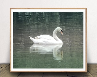 Swan Art Print - Printable Farmhouse Decor - Nature Wall Art - Animal Poster - Living Room Art - Instant Download!