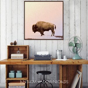 Buffalo Art Print of Grazing Buffalo Poster for Country Wall Art Printable Bison Farmhouse Wall Art and Ranch Decor - Instant Download