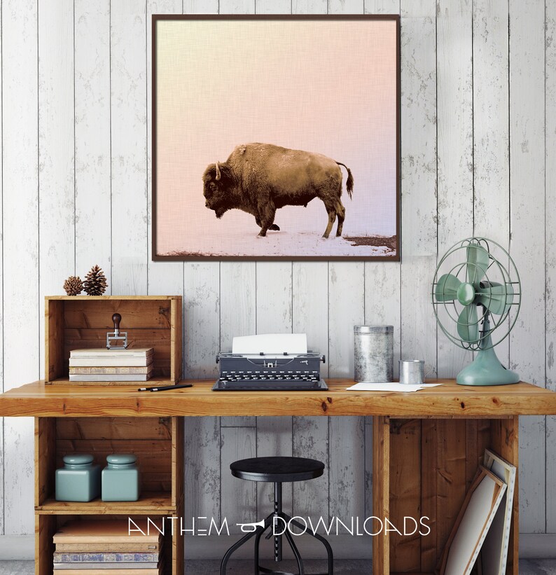 Buffalo Art Print of Grazing Buffalo Poster for Country Wall Art Printable Bison Farmhouse Wall Art and Ranch Decor - Instant Download