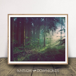 Forest Art Print - Digital Download - Nature Poster - Outdoors Decor - Dark Trees Morning Light Wall Art - Instant Download!