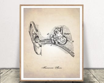 Human Ear Art Print - Ear Canal Illustration - Medical Drawing - Human Anatomy Art - Hearing Poster - Instant Download!