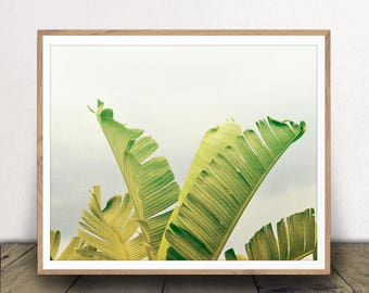 Palm Tree Print - Palm Leaves Poster - Digital Download - Beach Decor - Tropical Wall Art - Multiple Size Options!