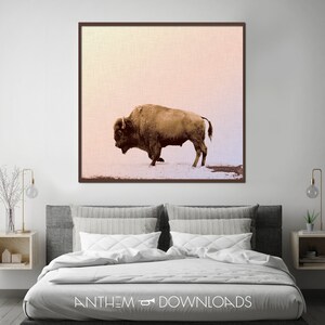Buffalo Art Print of Grazing Buffalo Poster for Country Wall Art Printable Bison Farmhouse Wall Art and Ranch Decor - Instant Download