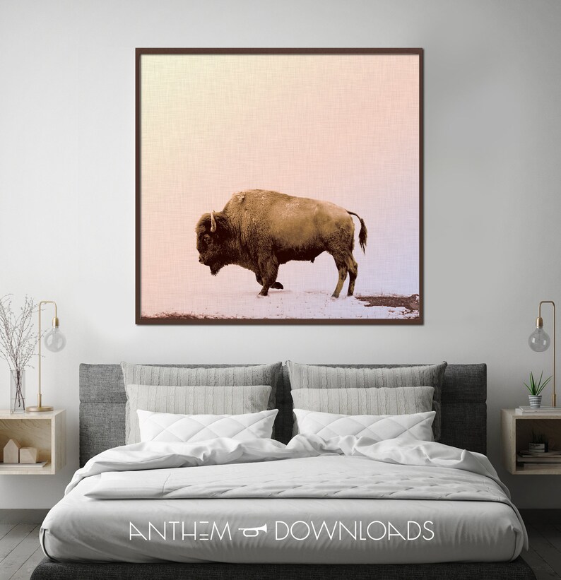 Buffalo Art Print of Grazing Buffalo Poster for Country Wall Art Printable Bison Farmhouse Wall Art and Ranch Decor - Instant Download