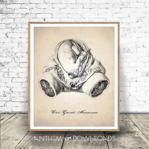 Human Anatomy Download - Uterus Print - In Utero Art Print - Medical Drawing - Anatomy Wall Art - Print at Home!
