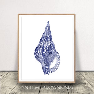 Seashell Art Print - Nautische Wall Art - Kust Decor - Shore Home Style - Interieur Strandontwerp - Instant Download