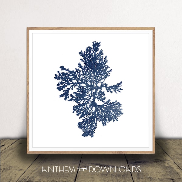 Navy Blue Coral Art Print - Digital Download - Coral Jpeg - Nautical Decor - Sea Fan Print - Ocean Life Wall Art - Print At Home!