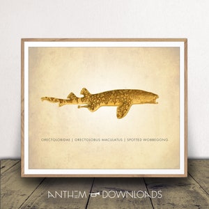 Wobbegong Shark - Shark Art Print - Natural History Poster - Shore Home Decor - Nautische Gallery Wall Piece - Instant Download!