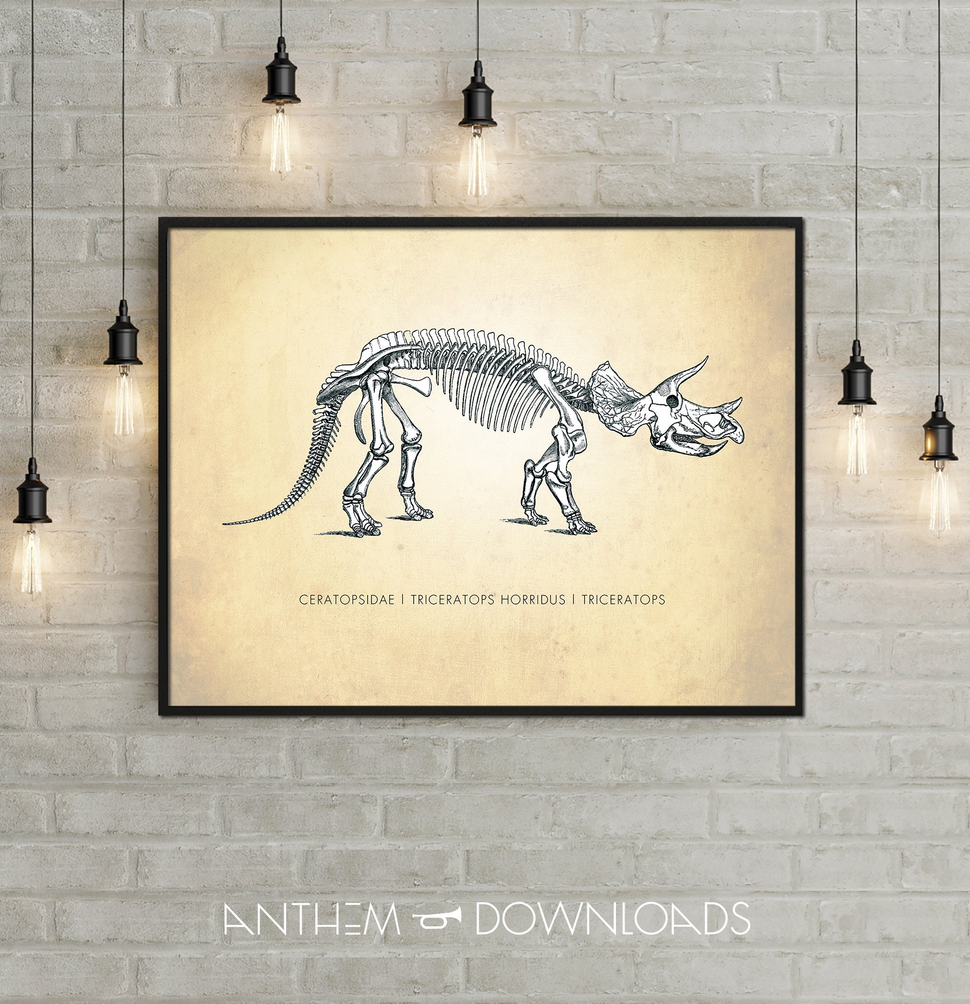 Triceratops Art Print - Dinosaur Poster - Natural History Chart ...