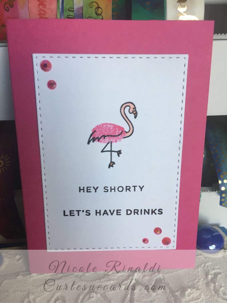 Set of 4 Sassy Note Cards with Animals