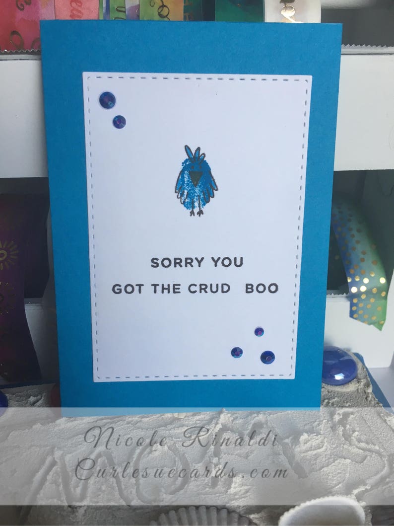 Set of 4 Sassy Note Cards with Animals