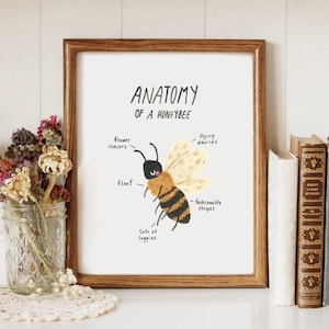 Anatomy of a Honeybee - Printable Art