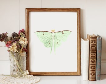 Luna Moth - Printable Art