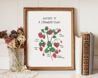 Anatomy of a Strawberry Plant - Printable Art
