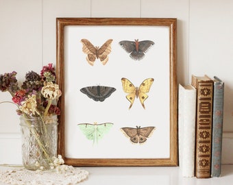 Mystical Moths - Printable Art