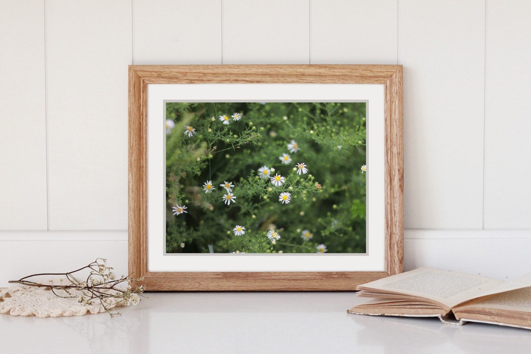 Dainty Daisies Printable Photography Etsy