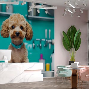 Dog Grooming Wall Mural – Cute Poodle with Blue Collar in Pet Salon | Dog Spa Backdrop, Grooming Studio Wall Art, Pet Boutique Decor