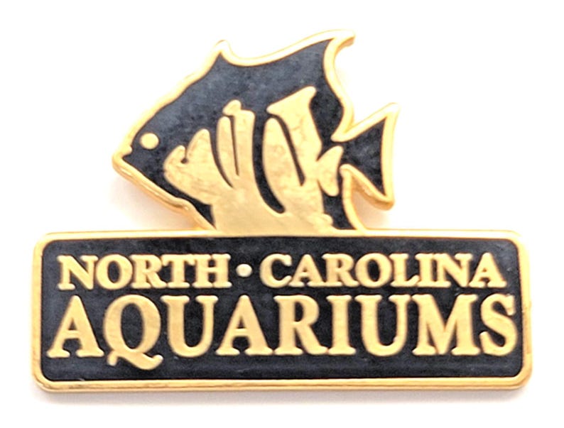 North Carolina Aquariums Tropical Fish Marine Life Vintage Pin image 2