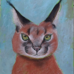 Lince. Gatto grande. Disegno originale sulla carta