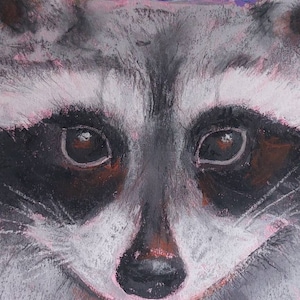 Illustration Waschbär realistisch Zeichnung Acrylfarben und Pastell und Collage auf Karton Größe 24 cm×34 cm