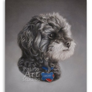 Custom 9 x 12 inch pet portrait / cat portrait / dog portrait / animal portrait / pastel pencil drawing / handmade original art