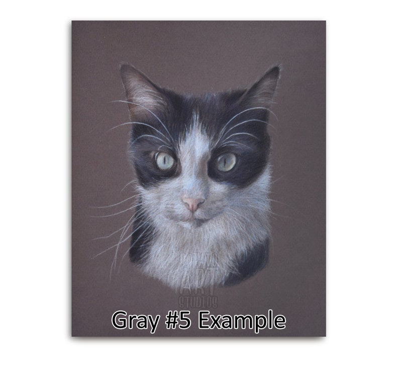 Custom 9 x 12 inch pet portrait cat kitten kitty colored pencil drawing 100/% hand-drawn!