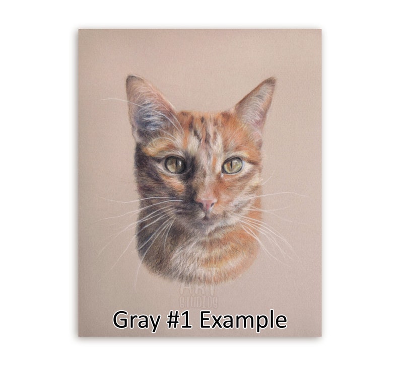 Custom 9 x 12 inch pet portrait cat kitten kitty colored pencil drawing 100/% hand-drawn!