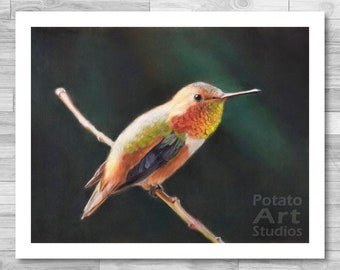 Hummingbird Print ("Buzz") Giclee Print Multiple Sizes Available 5x7 | 8x10