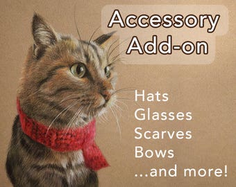 Accessory Add-on for Colored Pencil or Pastel Pet Portraits